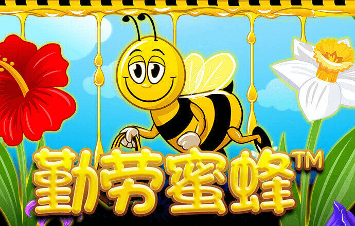 168体育手机app下载